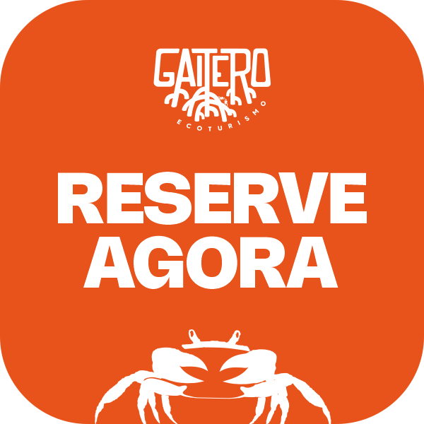 Reserve agora