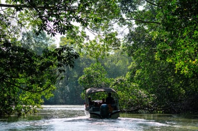 Delterra Piauí, Parnaíba