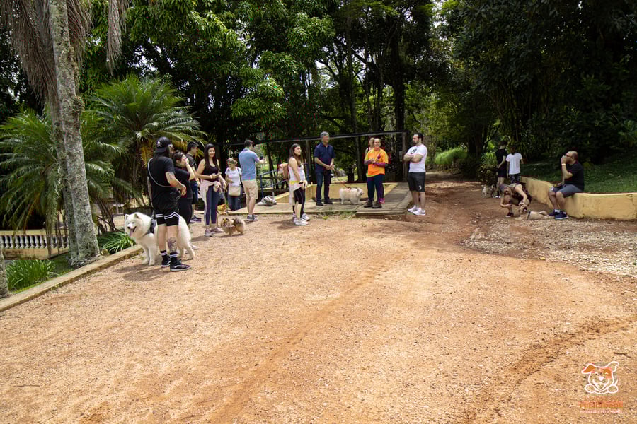 Fazenda Nossa Senhora Conceição pet friendly Jundiaí