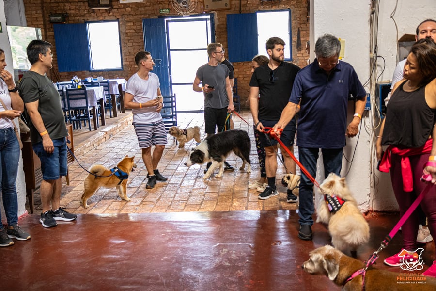 Fazenda Nossa Senhora Conceição pet friendly Jundiaí
