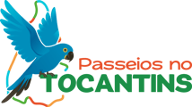 Logo - VIVO EXPEDIÇÕES E TURISMO
