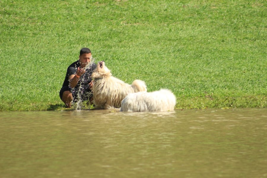 Day Use Aventura Pet com Trilha de Lama