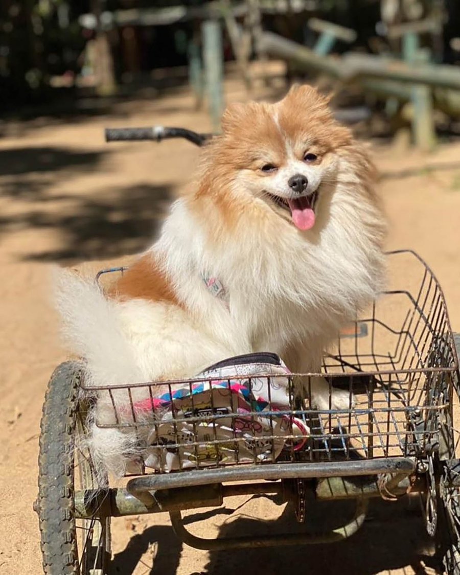 Day Use Hotel Fazenda Parque dos Sonhos