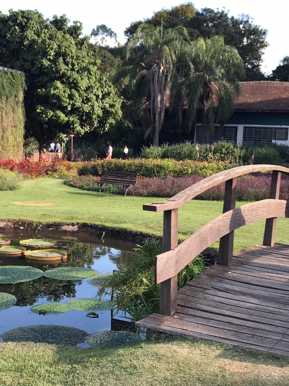 23/04 Jardim Botânico Plantarium e Cultura Leta em Nova Odessa