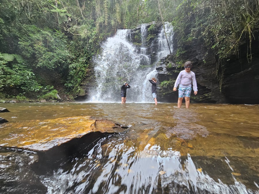 Safari do Macaco Doido em São Bartolomeu