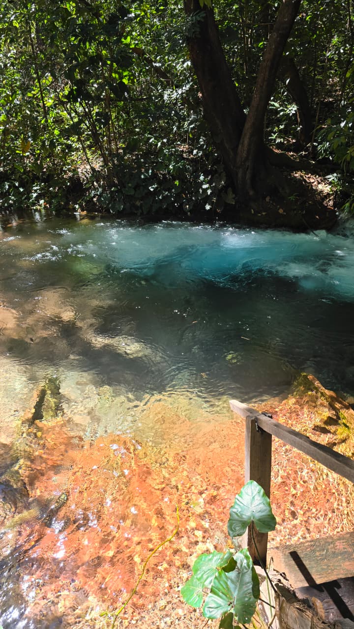 Poço Azul do Jalapão