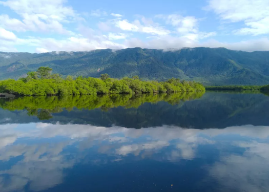  Trilha d'Água em Bertioga: Natureza e História 