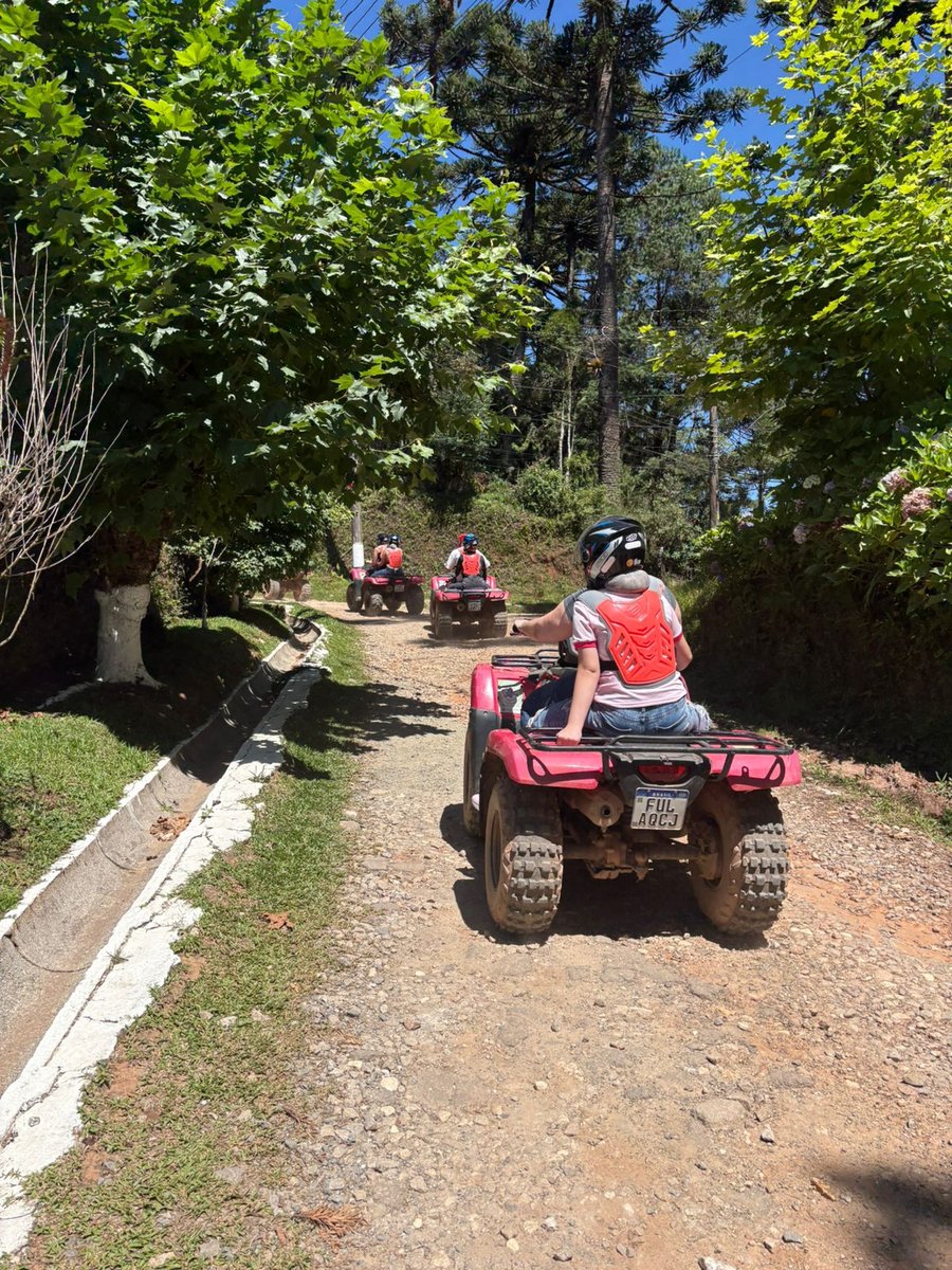 Caminho do passeio Morro do Elefante 
