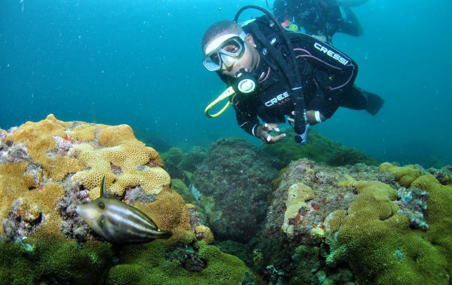 Mergulhando na Biodiversidade Marinha de Arraial do cabo