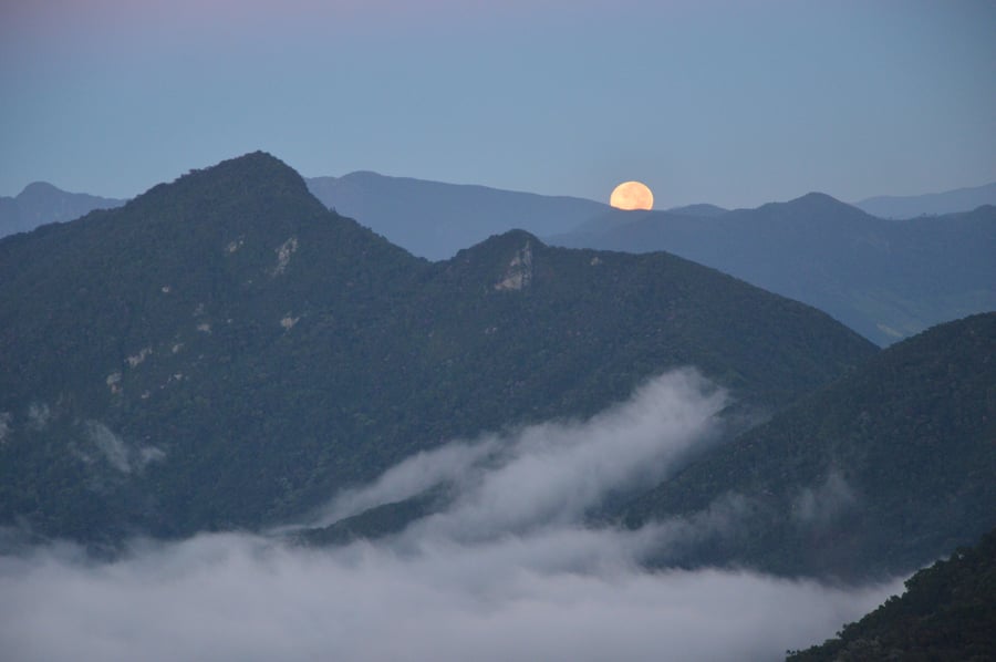 Visual do primeiro dia