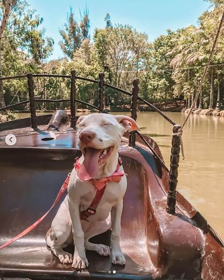 Day Use Hotel Fazenda Parque dos Sonhos