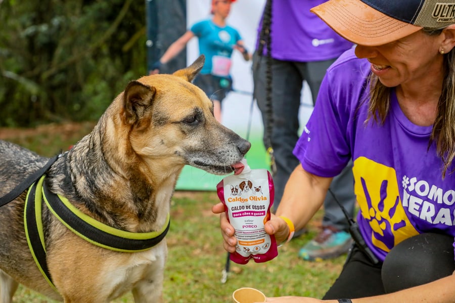 Desafio Feras Pet Friendly