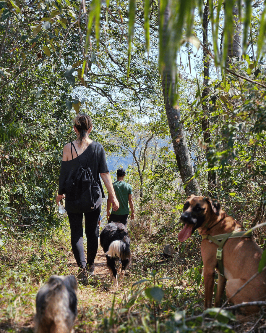 PedraGrande_petfriendly 13