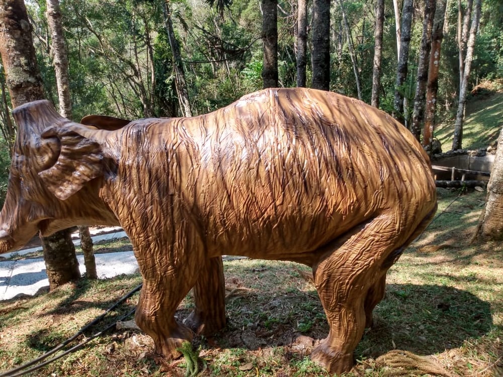 13/08 Santo Antonio do Pinhal e Jardins Temáticos EccoParque