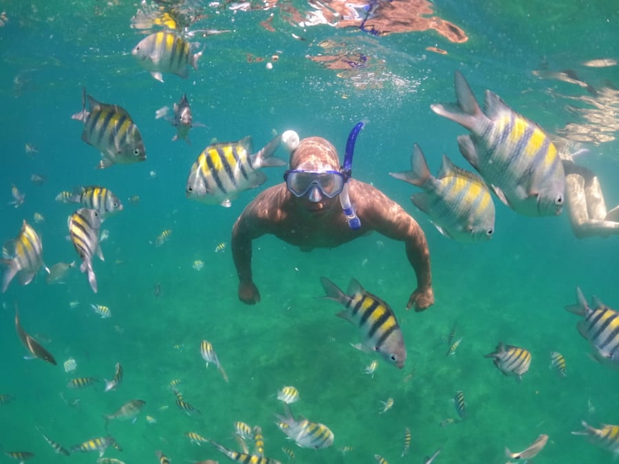 Mergulho no Parque dos Corais 