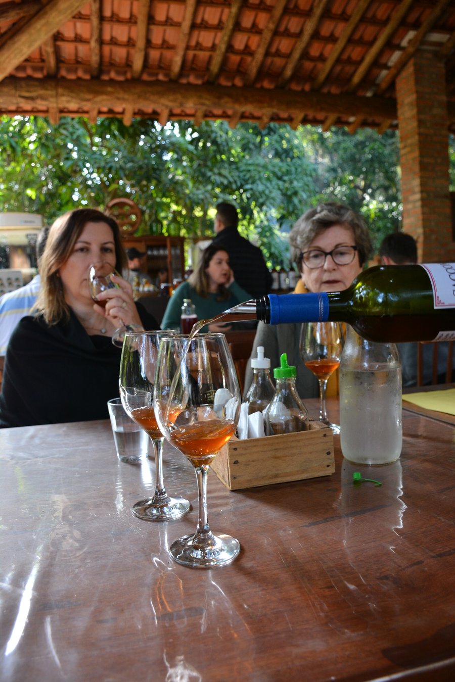 Trilha Pet + Degustação de Vinhos e Almoço na Vinícola Saccomani