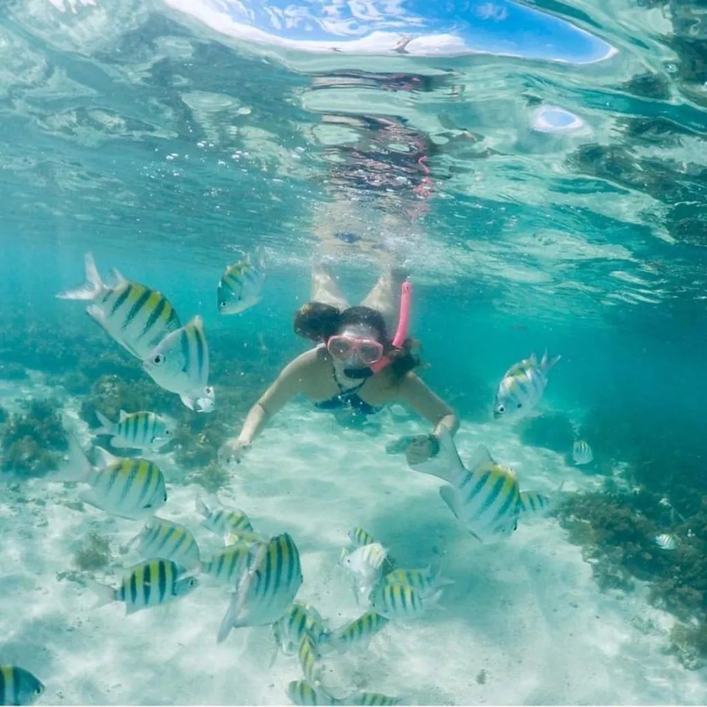 Em Maragogi, mergulhe entre os peixes coloridos que habitam os arrecifes das piscinas naturais.