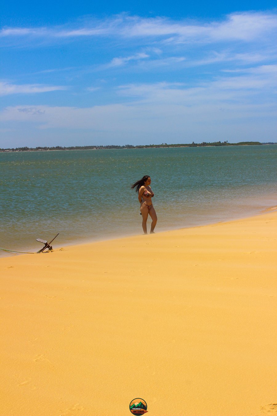 Foz  do rio São francisco