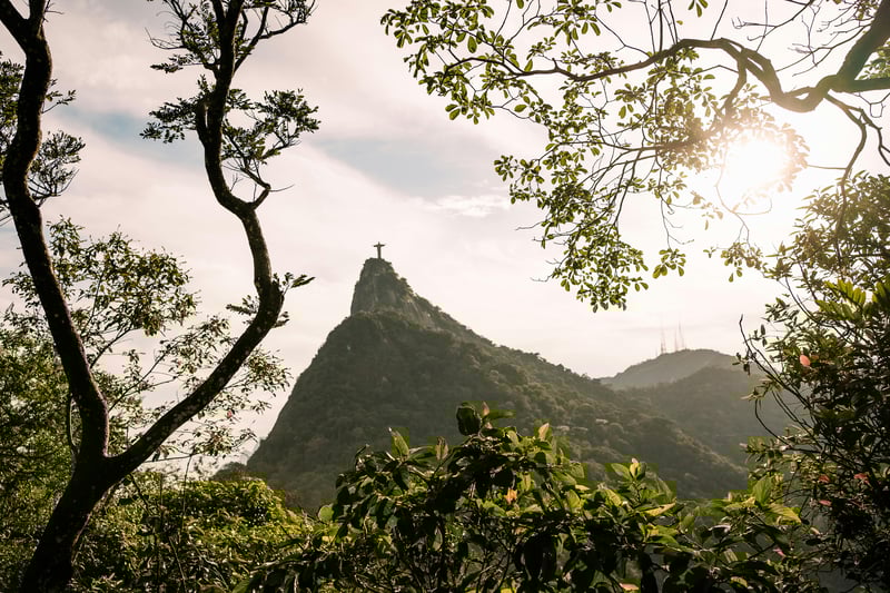 Morro do Corcovado visto do Jardim Botânico