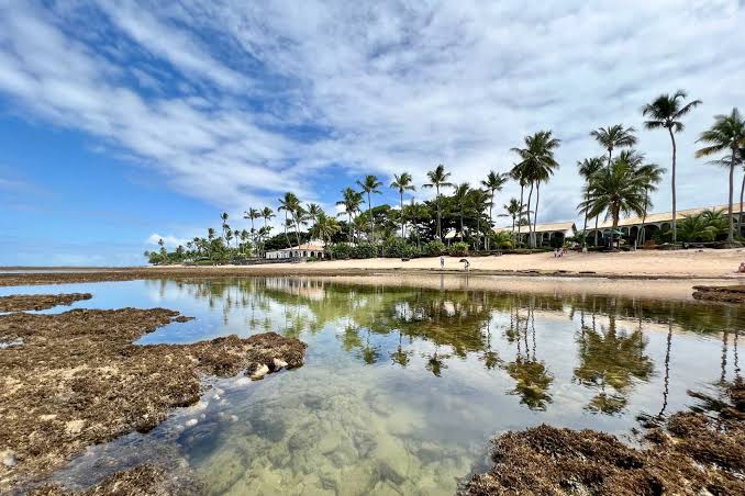 Praia do Forte no Litoral Norte da Bahia durante passeio saindo de Salvador