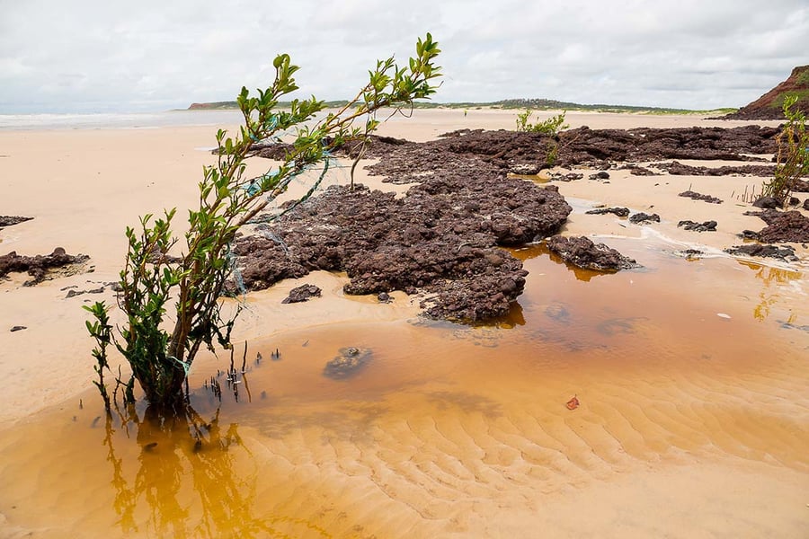 ROTA DAS PRAIAS E QUILOMBOS DE ALCÂNTARA