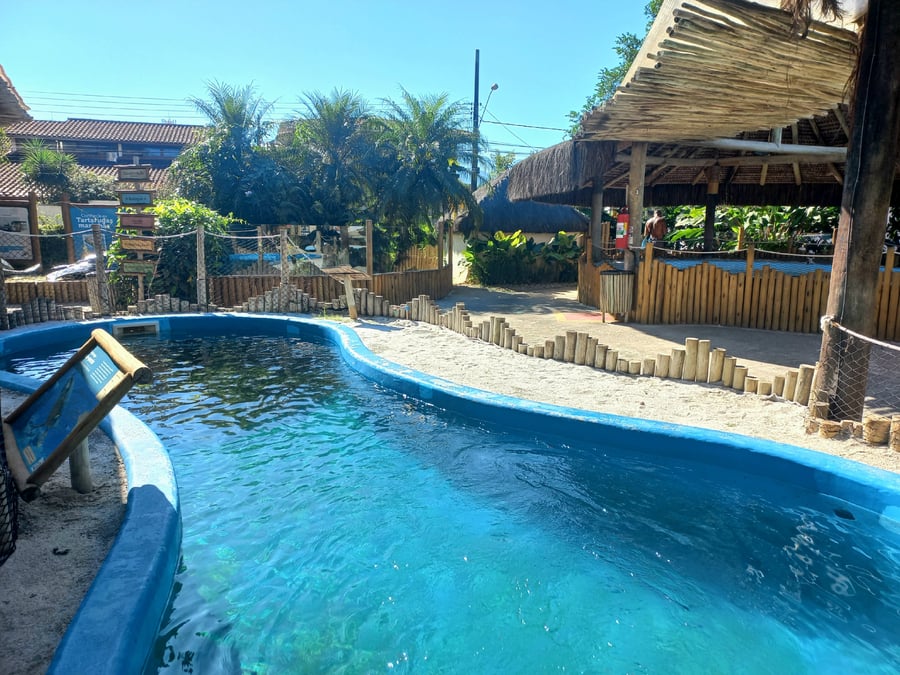 Roteiro Eco-Marinho em Ubatuba: Descubra o Mundo Marinho