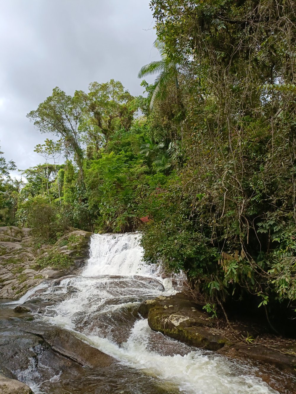 Jipe 4x4 Cachoeiras & Alambique