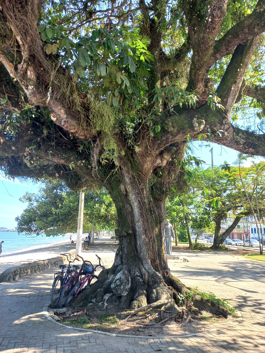 Centro de Ubatuba