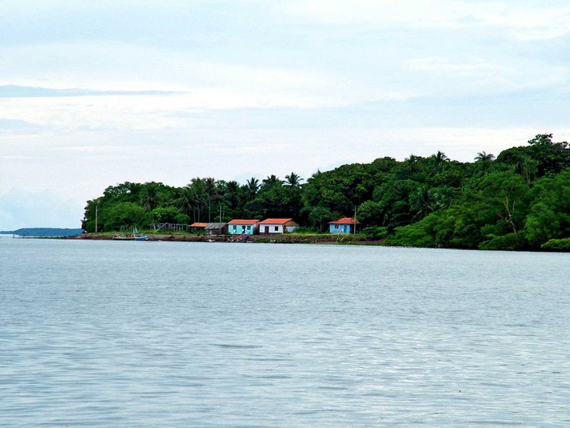 REVOADA DOS GUARÁS EM ALCÂNTARA