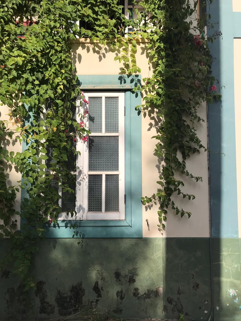 23/04 Jardim Botânico Plantarium e Cultura Leta em Nova Odessa