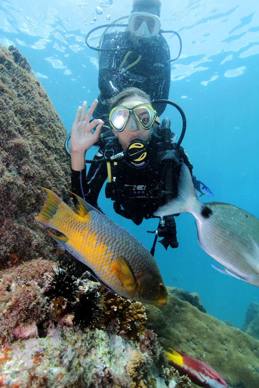 MERGULHO DE BATISMO EM ARRAIAL DO CABO