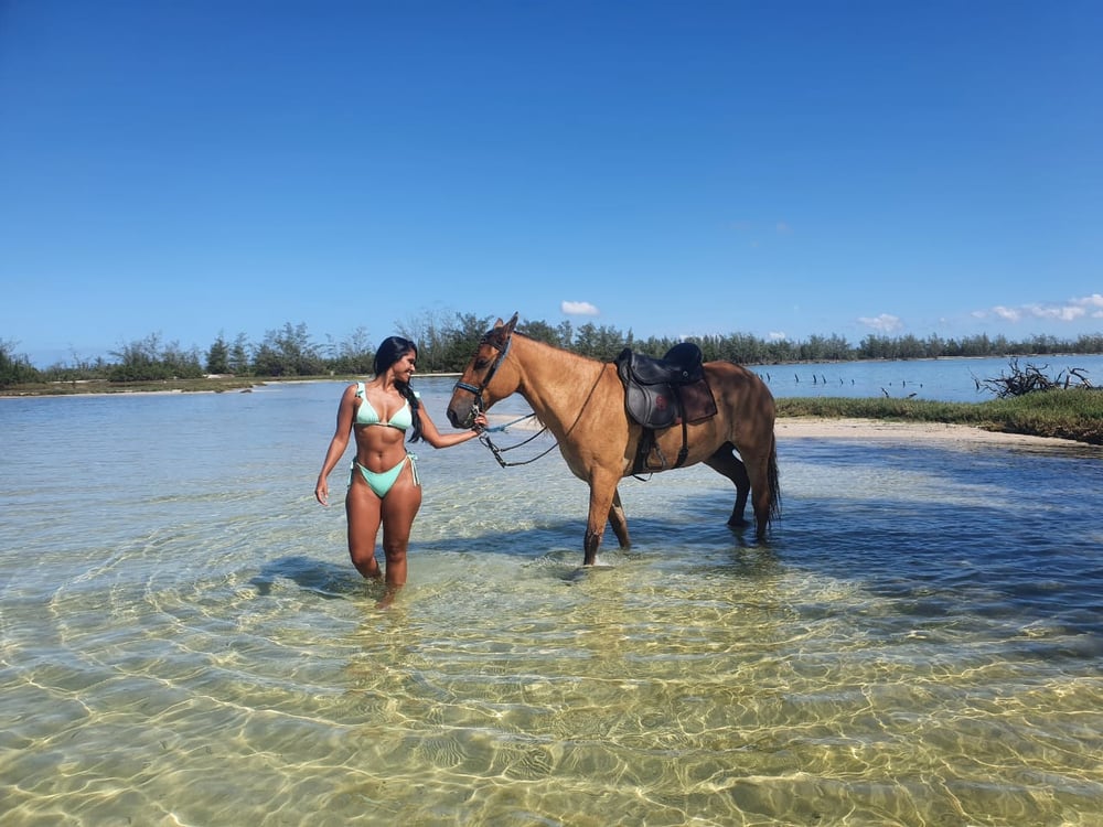 PASSEIO A CAVALO POR LAGOAS, SALINAS E PRAIAS EM MONTE ALTO