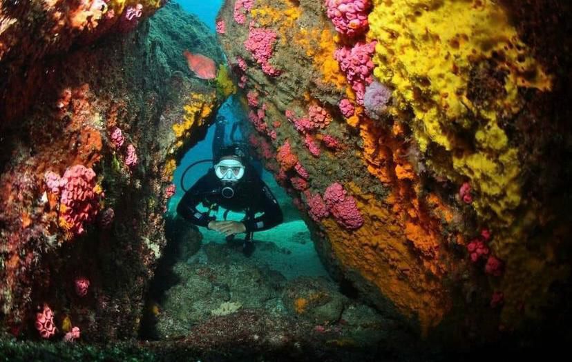 Mergulho de Cilindro Arraial do Cabo | Super Flor