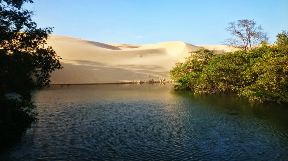 PASSEIO NÁUTICO DE 4H EM RAPOSA (FRONHAS MARANHENSES)