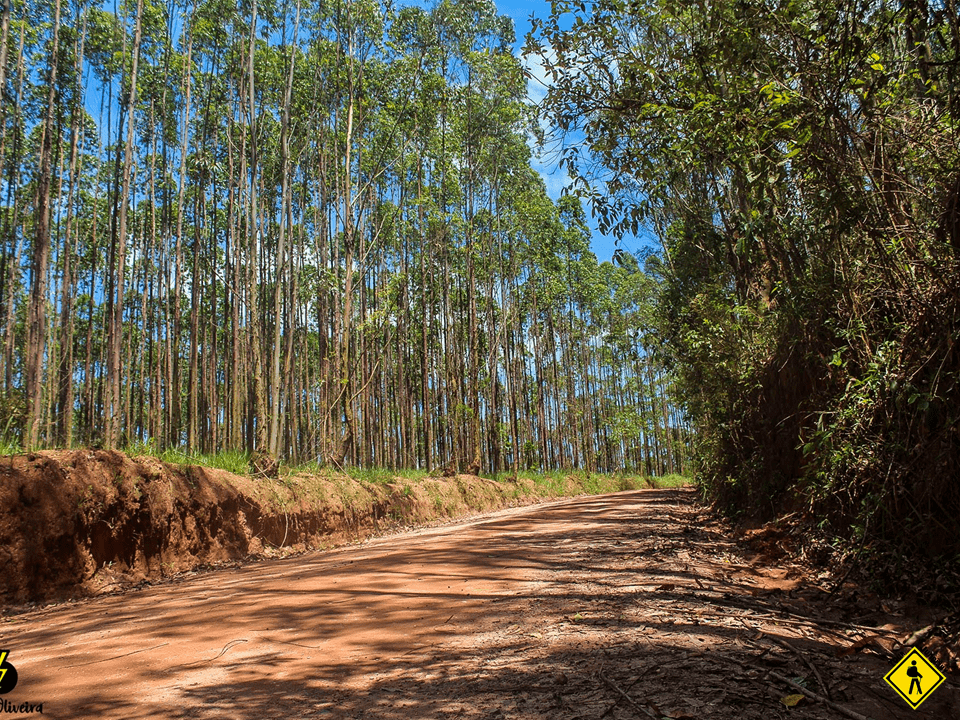 Caminhada - Caminho Circuito Das Frutas - Jarinu X Itatiba 