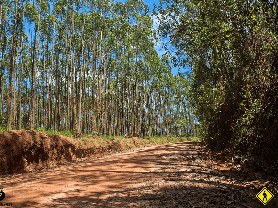 Caminhada - Caminho Circuito Das Frutas - Jarinu X Itatiba 