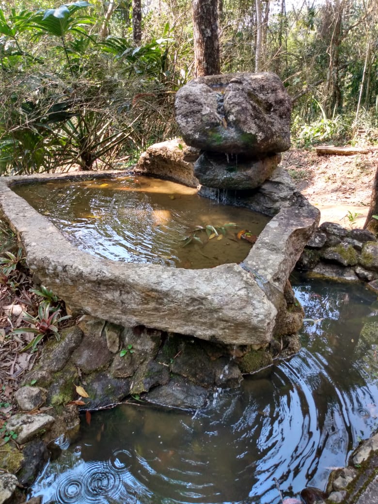 13/08 Santo Antonio do Pinhal e Jardins Temáticos EccoParque