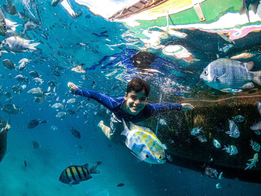 Snorkel entre peces en Ilha Grande