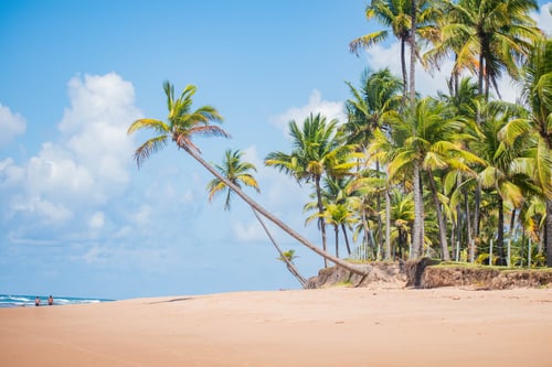 Novo Site e Comemorações: Bahia Turismo Celebra 10 Anos de Aventuras