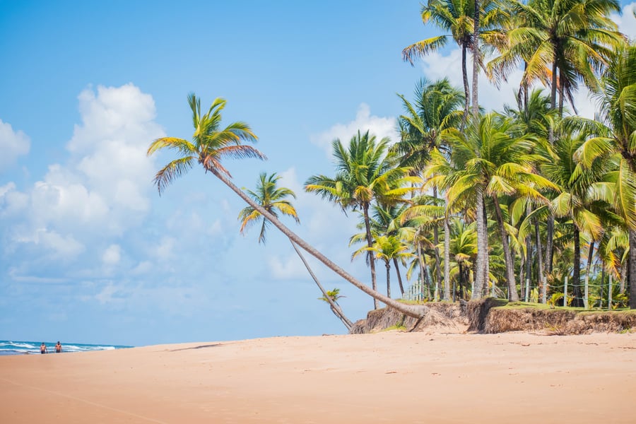 Novo Site e Comemorações: Bahia Turismo Celebra 10 Anos de Aventuras