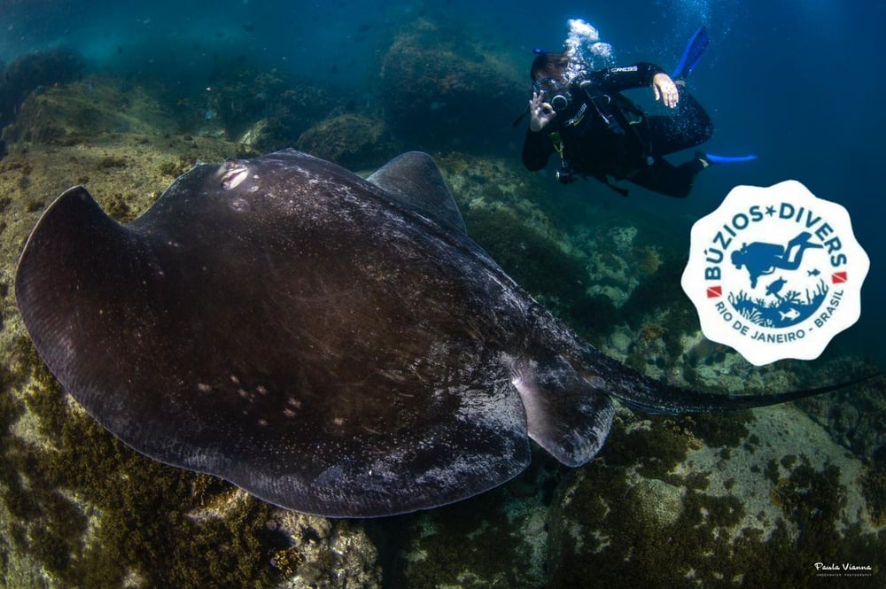 Batismo de Mergulho - Credenciados (2 mergulhos)