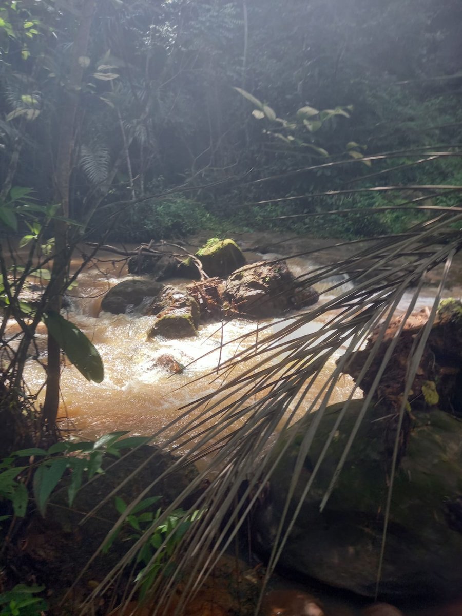 Bate Volta Cachoeira do Urubu - Santo Amaro/Ba