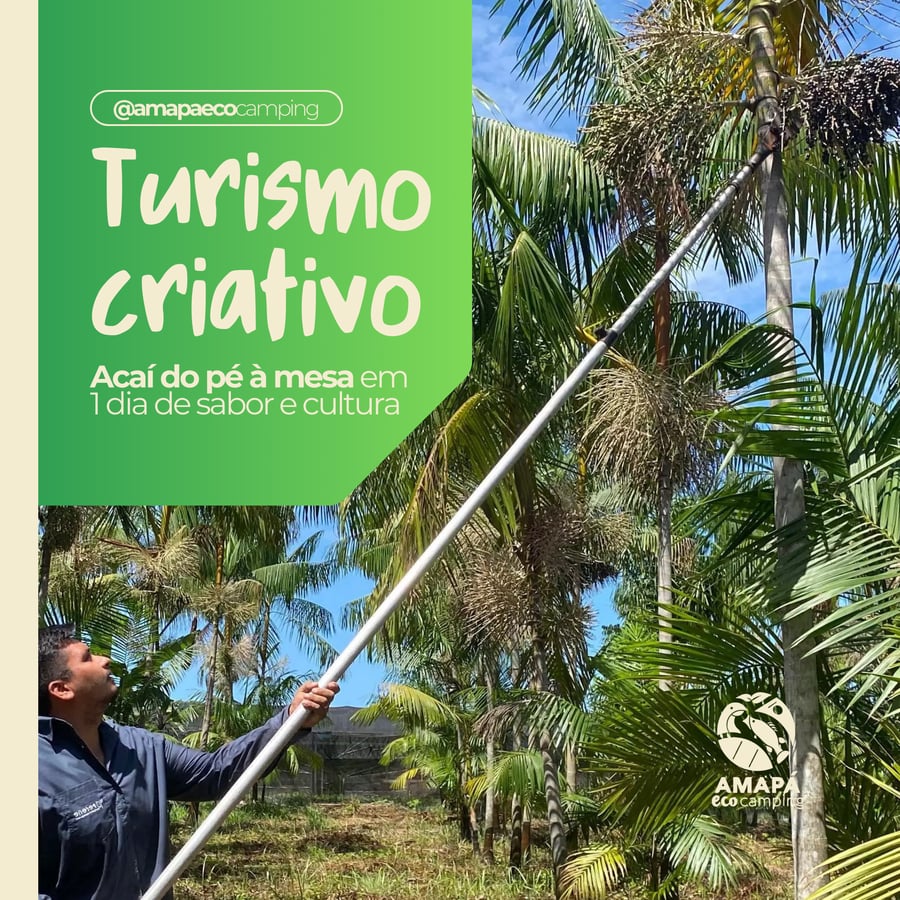 1 Dia. Bem-vindo à experiência do ciclo de produção do açaí