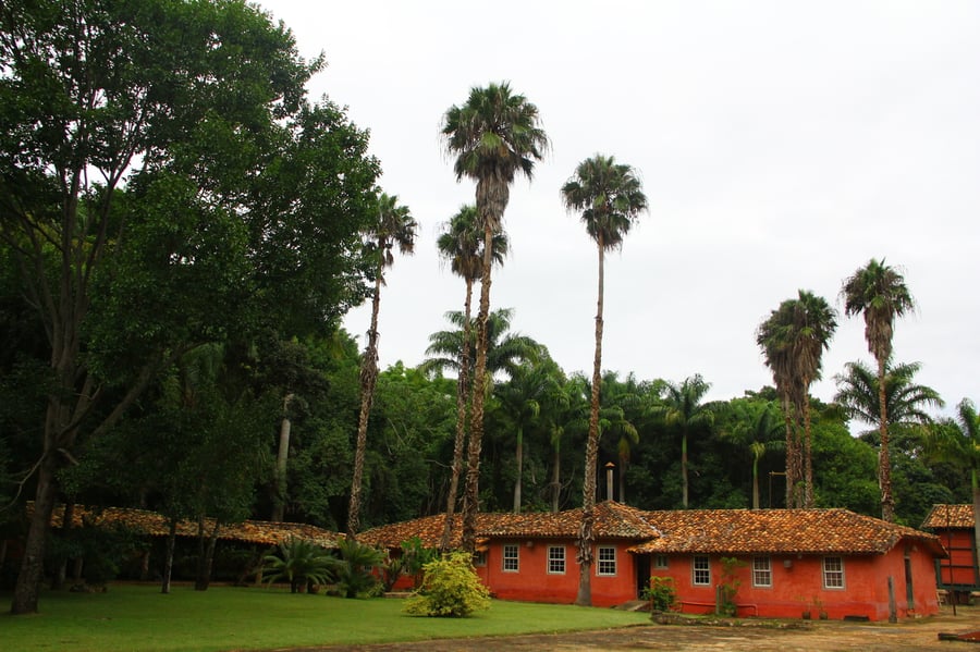 Tour do Café na Fazenda das Cabras, com café da manhã