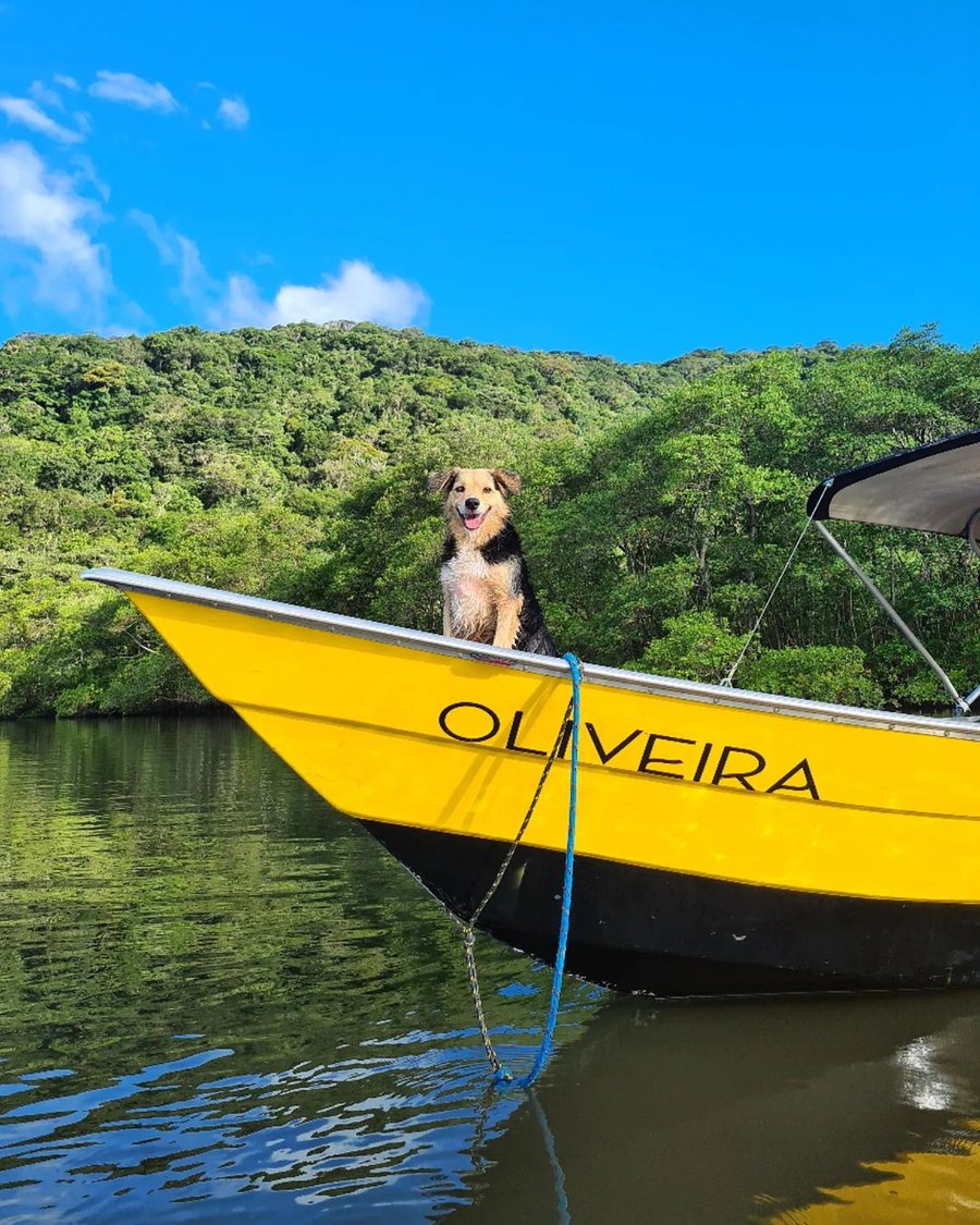 Aventura na praia Peruíbe pet friendly trilha, barco, pousada 