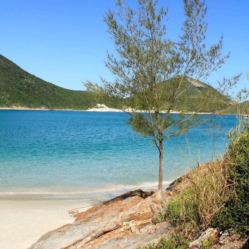 Passeio de Barco Arraial do Cabo