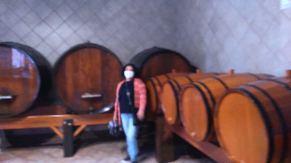  Roteiro do Vinho e Festa da Uva em Jundiái