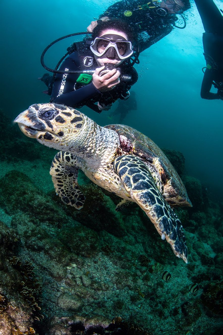 Mergulho com cilindro na Ilha de Âncora (embarcado)