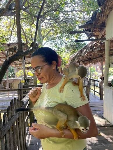 alimentação dos macacos