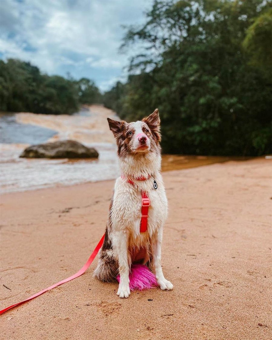Day Use Hotel Fazenda Parque dos Sonhos